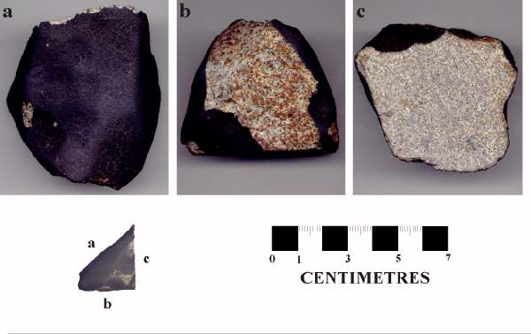 Macro view of St Robert Meteorite